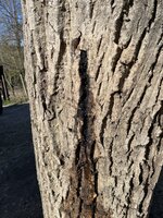 IMG_0176.jpeg
