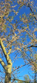 20250407_172213.webp