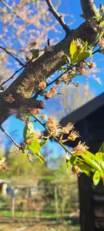 20250407_172312.webp