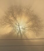 IMG_9200.jpeg
