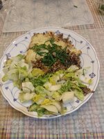 IMG_20250407_201321.jpg