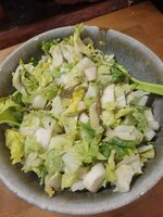 IMG_20250407_184141.jpg