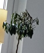 IMG_20250408_075823.jpg