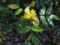 IMG_20250408_124108.webp