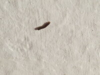 IMG_1373.JPG