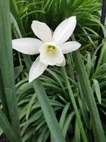 IMG_20250408_170604.webp