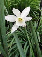 IMG_20250408_170604.jpg
