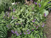 IMG_20250408_170724.webp