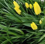 IMG_20250408_170738.jpg