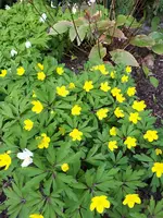 20250407_124545.webp