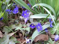 20250407_124733.webp