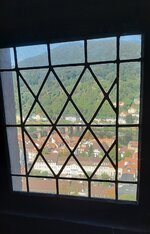 20231001_122423.jpg