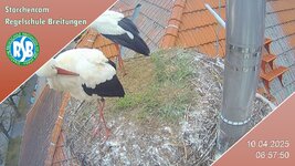 IMG_1954.jpeg
