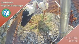 IMG_1956.jpeg