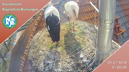IMG_1955.jpeg