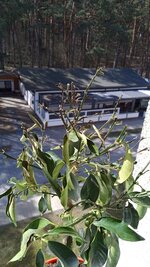 IMG_20250410_133039.jpg