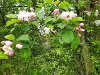 IMG_20250410_133029_1.webp