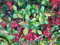 IMG_20250410_133125.jpg