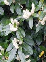 IMG_20250410_133303.jpg