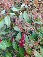 IMG_20250410_133154_1.webp