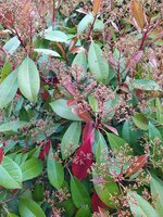 IMG_20250410_133154_1.jpg