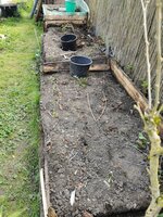 IMG_20250410_111351.jpg