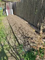 IMG_20250410_144612.webp