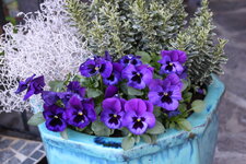 April      0125.JPG