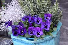 April      0125.webp