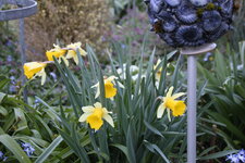 April      0225.JPG