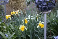 April      0225.webp