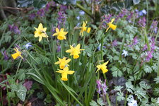 April      0425.JPG