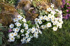 April      0725.JPG