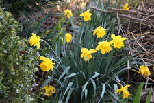 April      0825.JPG