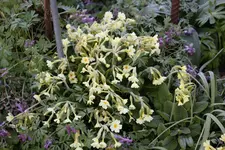 April      0925.webp
