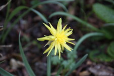 April      1025.JPG