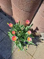 20250411_140803.webp