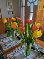 IMG_20250411_154306.webp