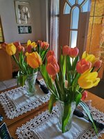 IMG_20250411_154306.jpg