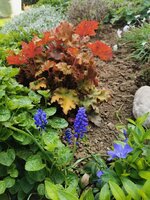 IMG_20250412_145819.jpg