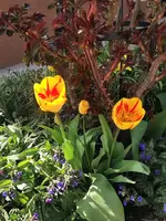 IMG_20250412_150037.webp