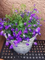 IMG_20250412_152342.webp