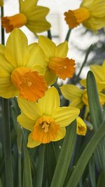 IMG_3968.jpeg