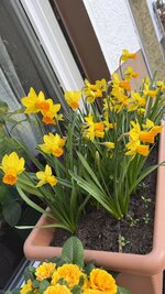 IMG_3966.jpeg