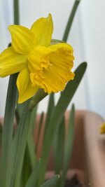 IMG_3967.jpeg