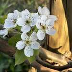 IMG_3974.jpeg
