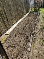 IMG_20250411_153050.jpg