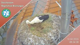 IMG_1957.jpeg