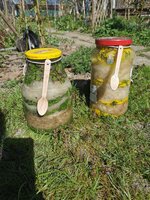 IMG_20250412_153106.jpg