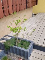 20250413_130222.jpg